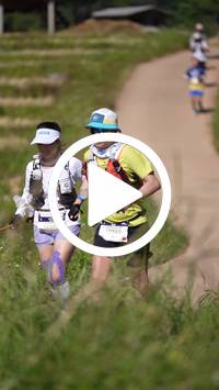 BIB:  <button type="button" onclick="openModal(26787229)" class="btn btn-primary btn-sm float-right" data-toggle="modal" data-target=".modal-high-quality">
                <i class="fa fa-download"></i> Download
                </button>